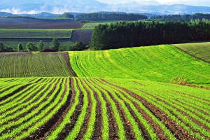 УЦ ФинЭкспертиза приглашает принять участие в круглом столе "Успешное фермерское хозяйство"