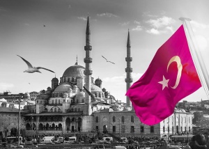 Вебинар "Независимый аудит в Турции: основные требования, правила и особенности применения стандартов TCФО и МСФО"
