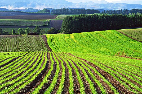 УЦ ФинЭкспертиза приглашает принять участие в круглом столе "Успешное фермерское хозяйство"