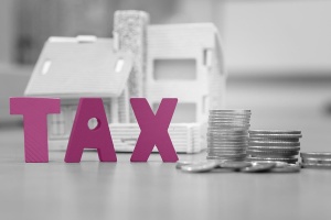 FinExpertiza и ВЦ "Раздолье" проведут вебинар о подключении бизнеса к налоговому мониторингу